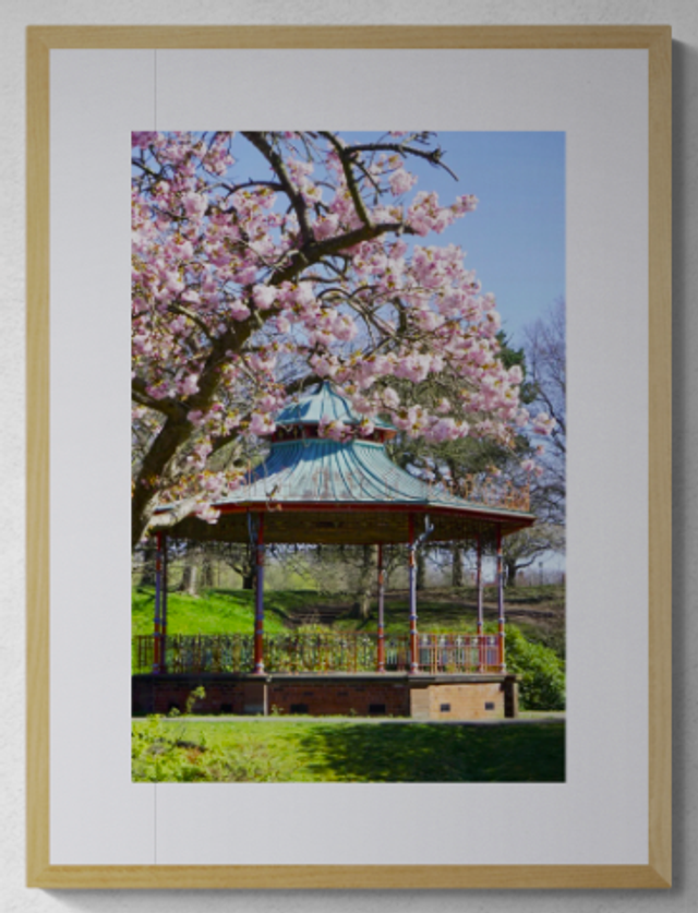 Bandstand is blooming - Print