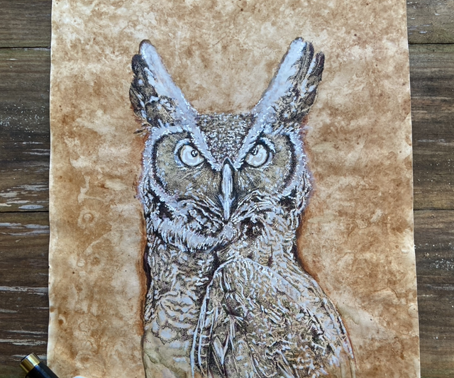 Wise owl print