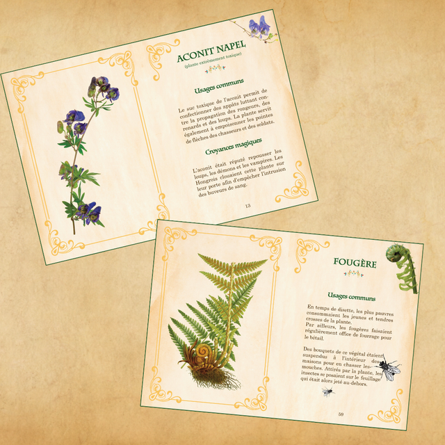 Plantes magiques du Moyen Âge