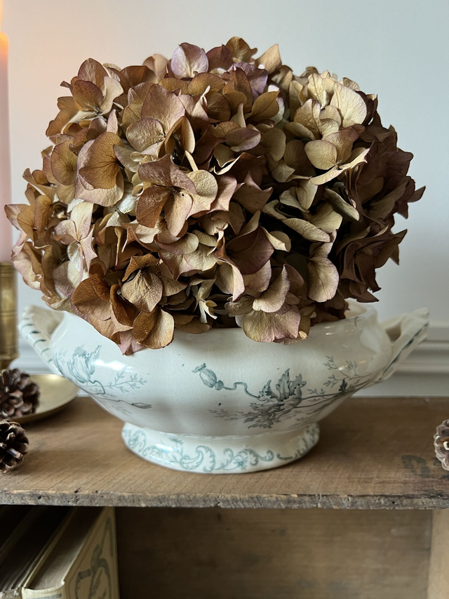 PAVOTS GRIS-VERT - Bas de légumier modèle Pavots par la manufacture française Choisy le Roi (H. Boulenger) - Terre de Fer