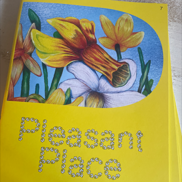 Pleasant Place Daffodils (Narcissus)