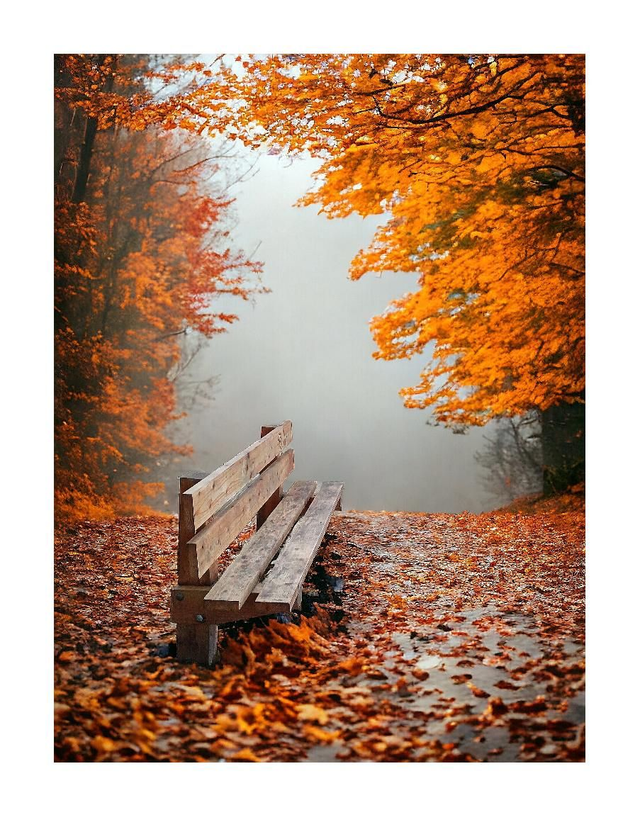 A Misty Morning at Hazelwood, Lough Gill, County Sligo. 5" x 7 " Blank Greeting card with envelope. includes postage  to all of Ireland.

