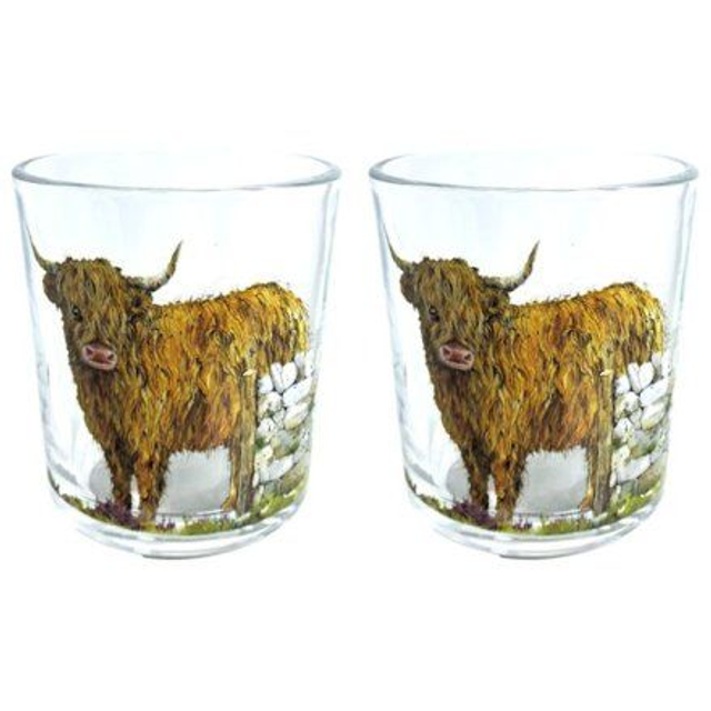 Jan Pashley Highland Coo Tumbler