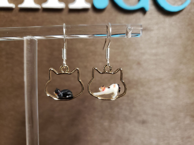 Katzen im Katzenkopf