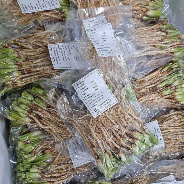 Coriander root รากผักชี