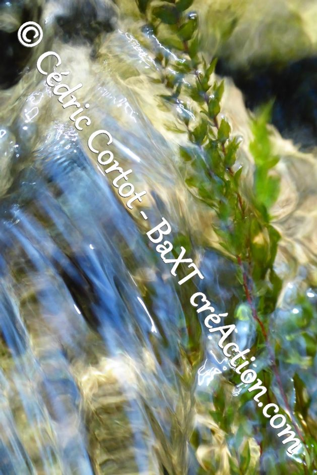 Impression sur alu dibond - Reflets et cours d'Eau (ref P1170592)