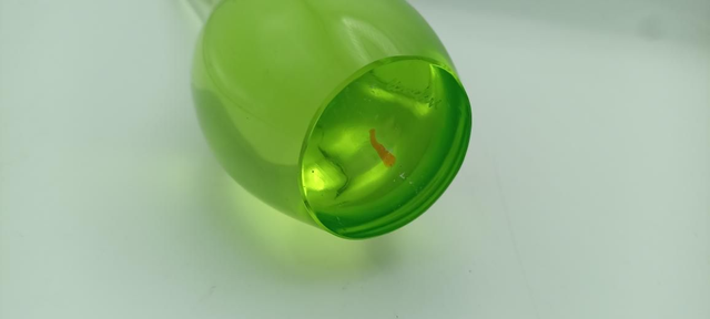 Antonio Da Ros - Cenedese - Giraffa 