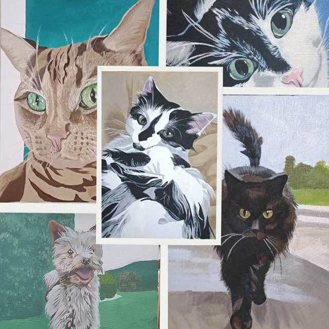 Pet Portrait Commission