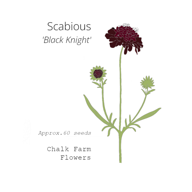 PYO Jam Jar - Saturday 2nd August 4.45pm