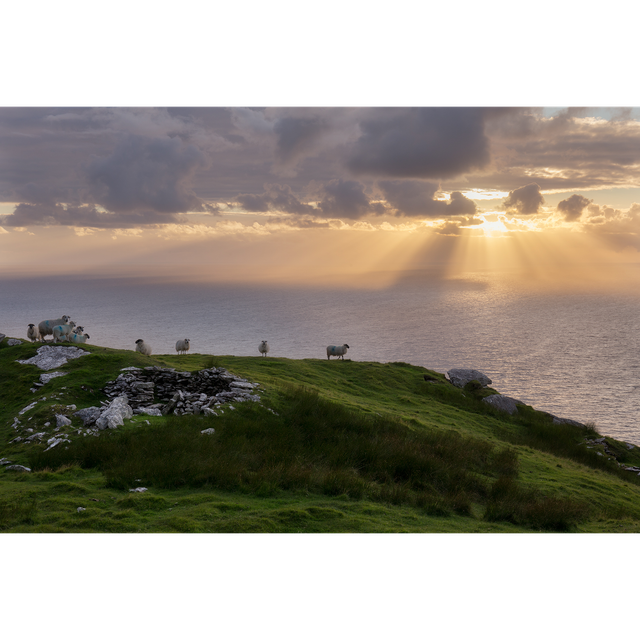 Binn na mBan - Beennaman