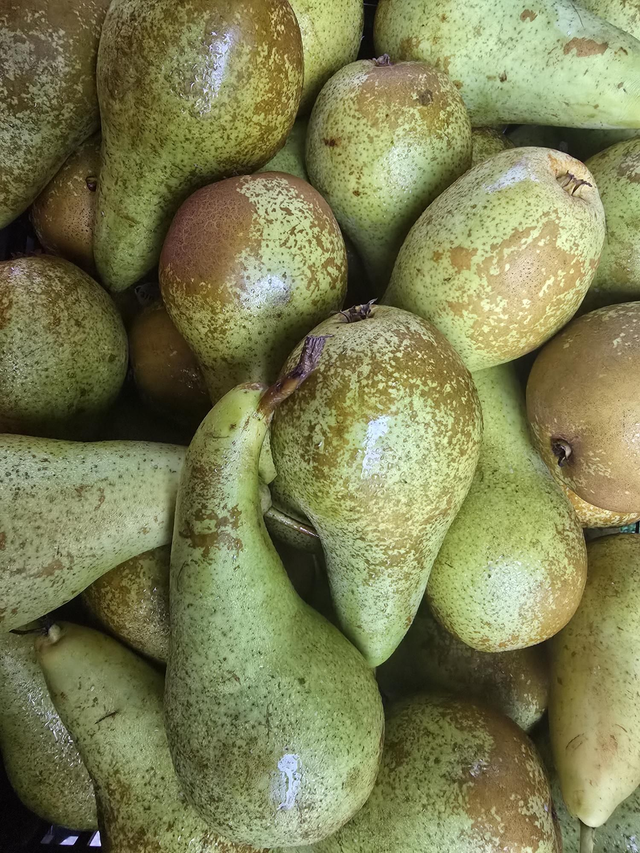 Pears