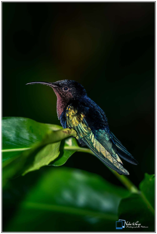 Tirage d'art : Acier