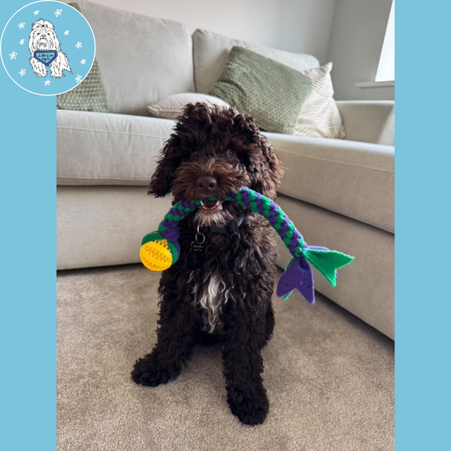 Handmade Puzzle Ball Tug Toy