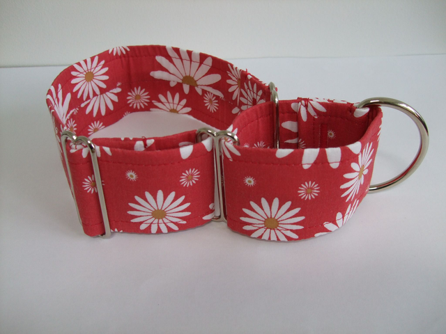 Daisies on Red