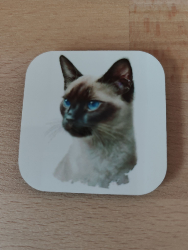 Magnet chat Siamois