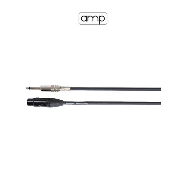 amp -  PM 3/25 