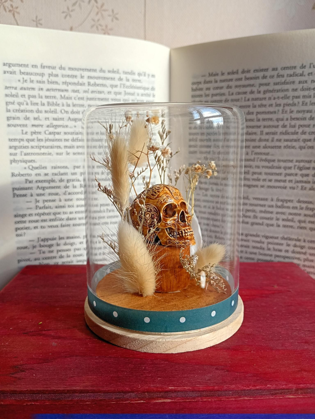 D11 mini crâne blanc