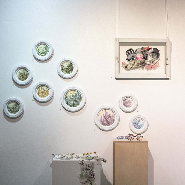 GRAPE HYACINTH | Botanical Study