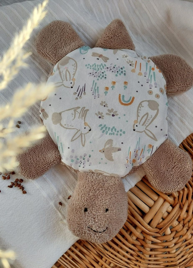 La Tortue bouillotte