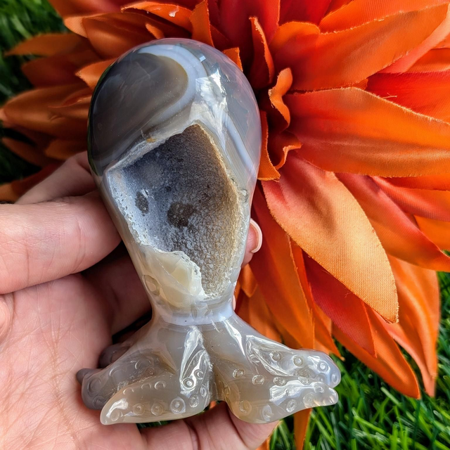 Druzy Agate Octopus 