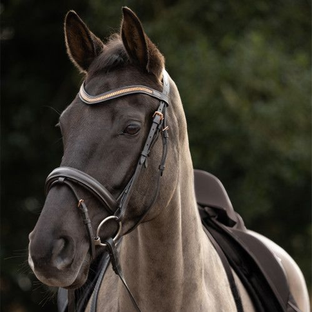 HY Rosciano Rose Gold Bridle 