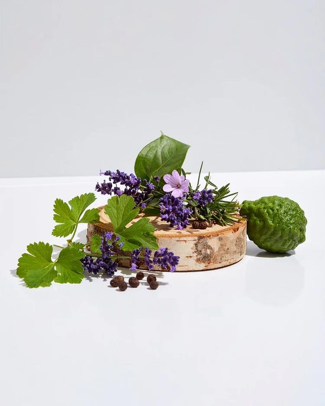 PARFUMS NOX - 204 Évoque Sauvage Dior