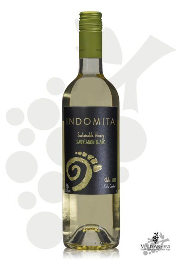 Glas droge witte wijn