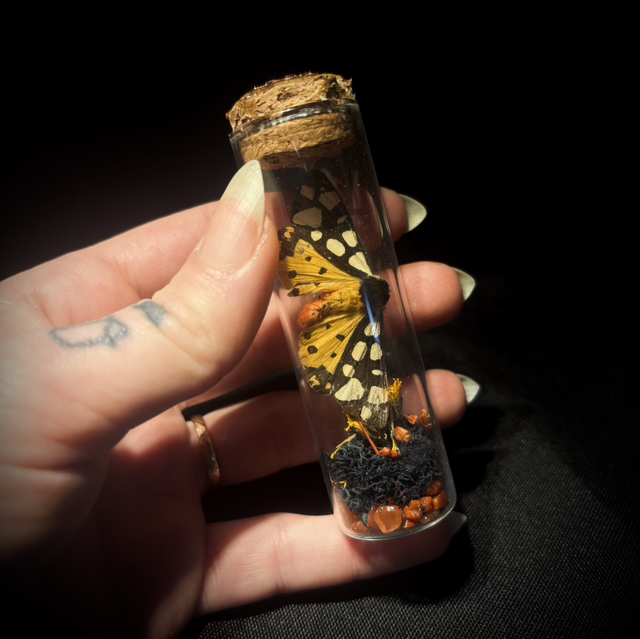 Les Fioles du Naturaliste - Plusieurs choix