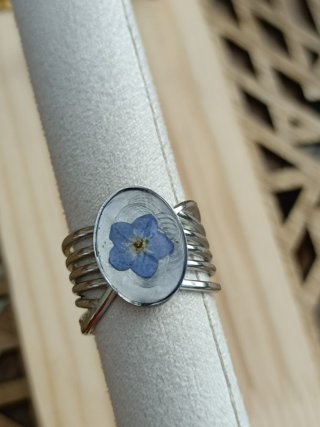 Bague Large Multirangs - Argent - Myosotis