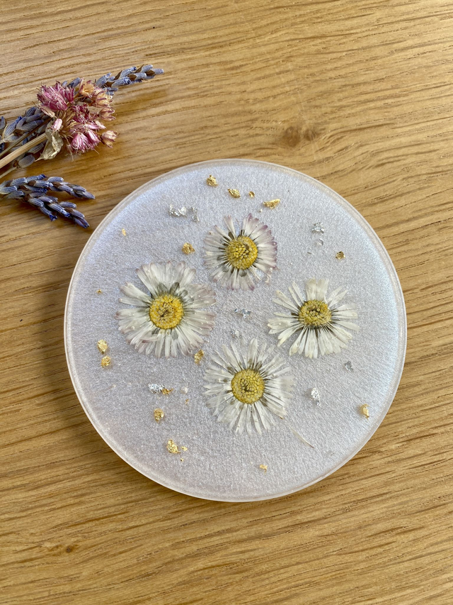 Sous verre rond - pâquerettes