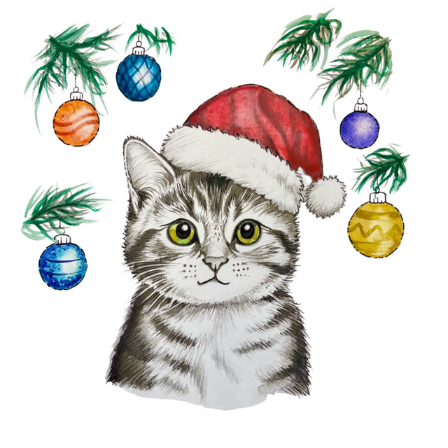 Kitten Christmas Cards - Pack of 5 