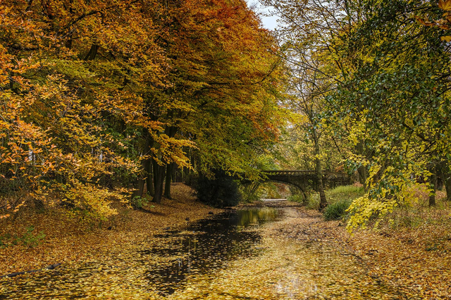 Autumn Serpentine Bridge Hardwick Park