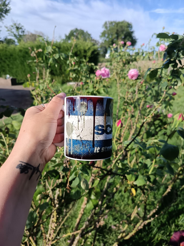 Tasse scania
