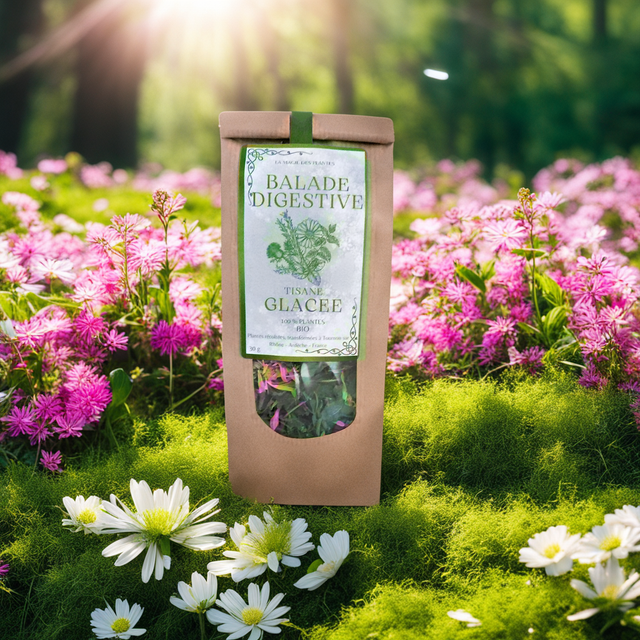 Infusion Balade digestive