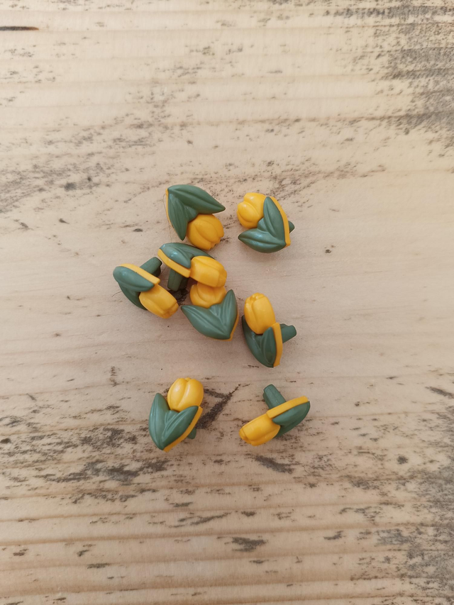 Knopen: Tulp
