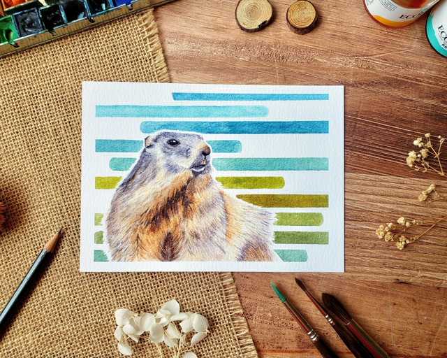 Marmotte - reproduction en tirages limités