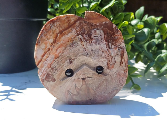 Oakley Crystal Critter