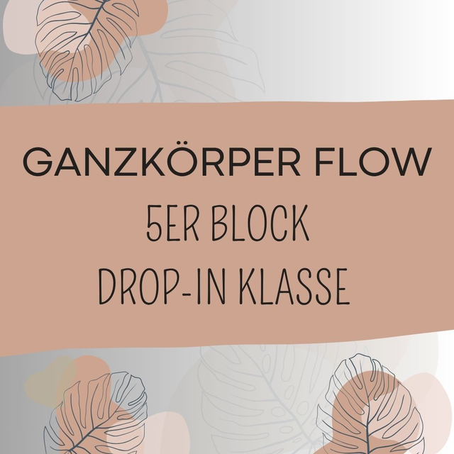 Ganzkörper Flow - 5er Block, Drop-In Klasse