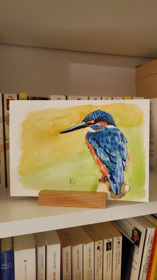 [1897] Martin-pêcheur