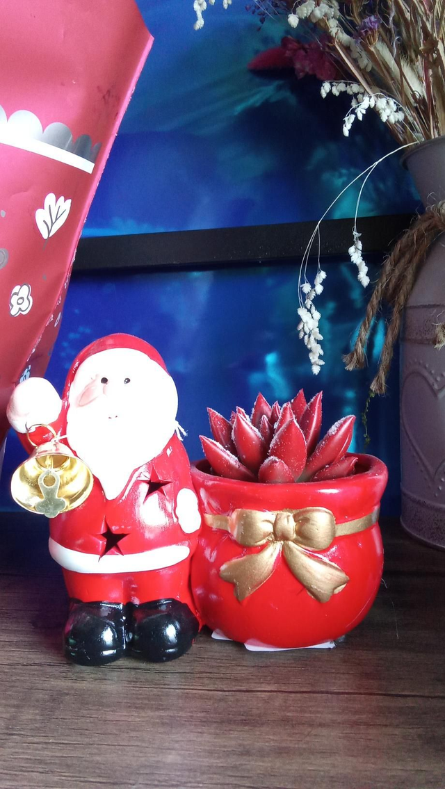 Succulente pere Noël LED