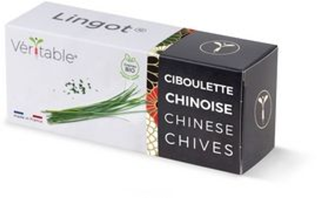 Véritable Lingot Chinese Chives - Organic