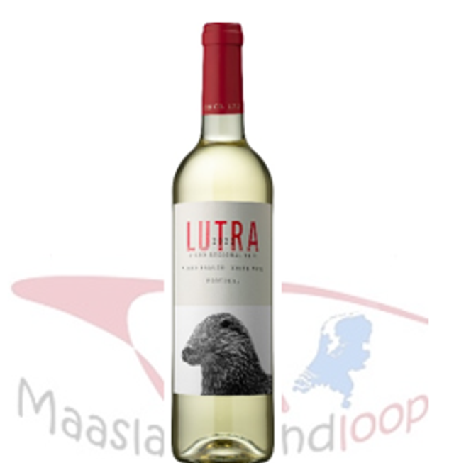31 | Quinta da Alorna Lutra Branco | Fernao Pires - Moscatel | Portugal | Tejo | *** |  Nieuw!