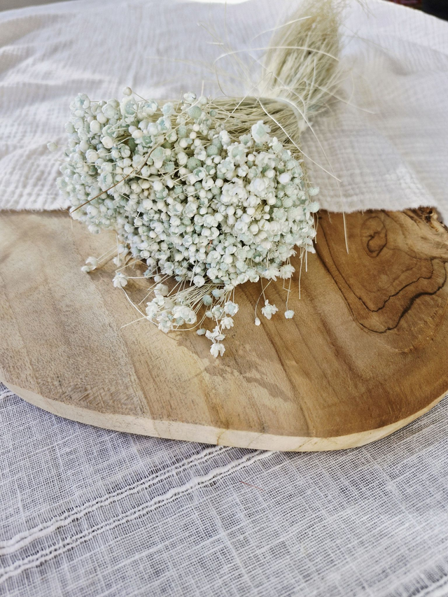 Vide atelier - Glixia séché