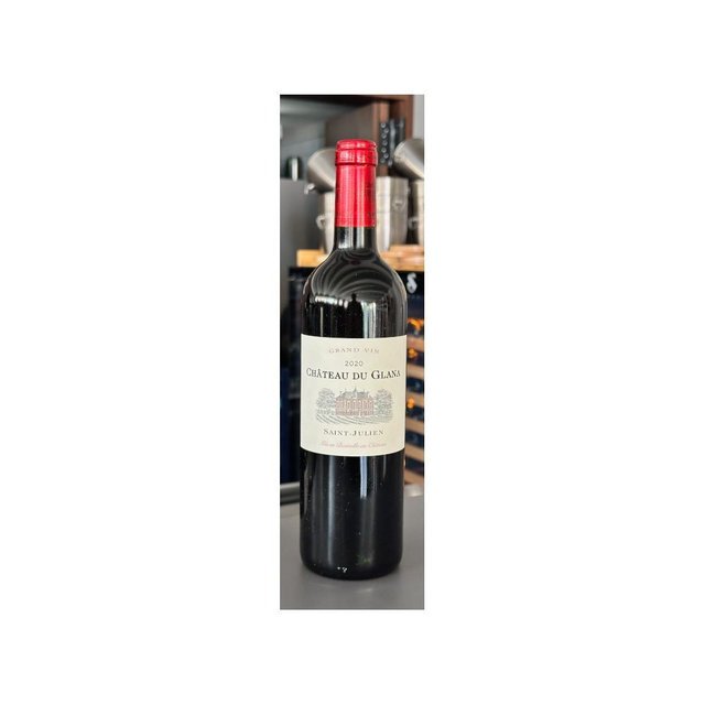 Chateau du Glana Saint Julien