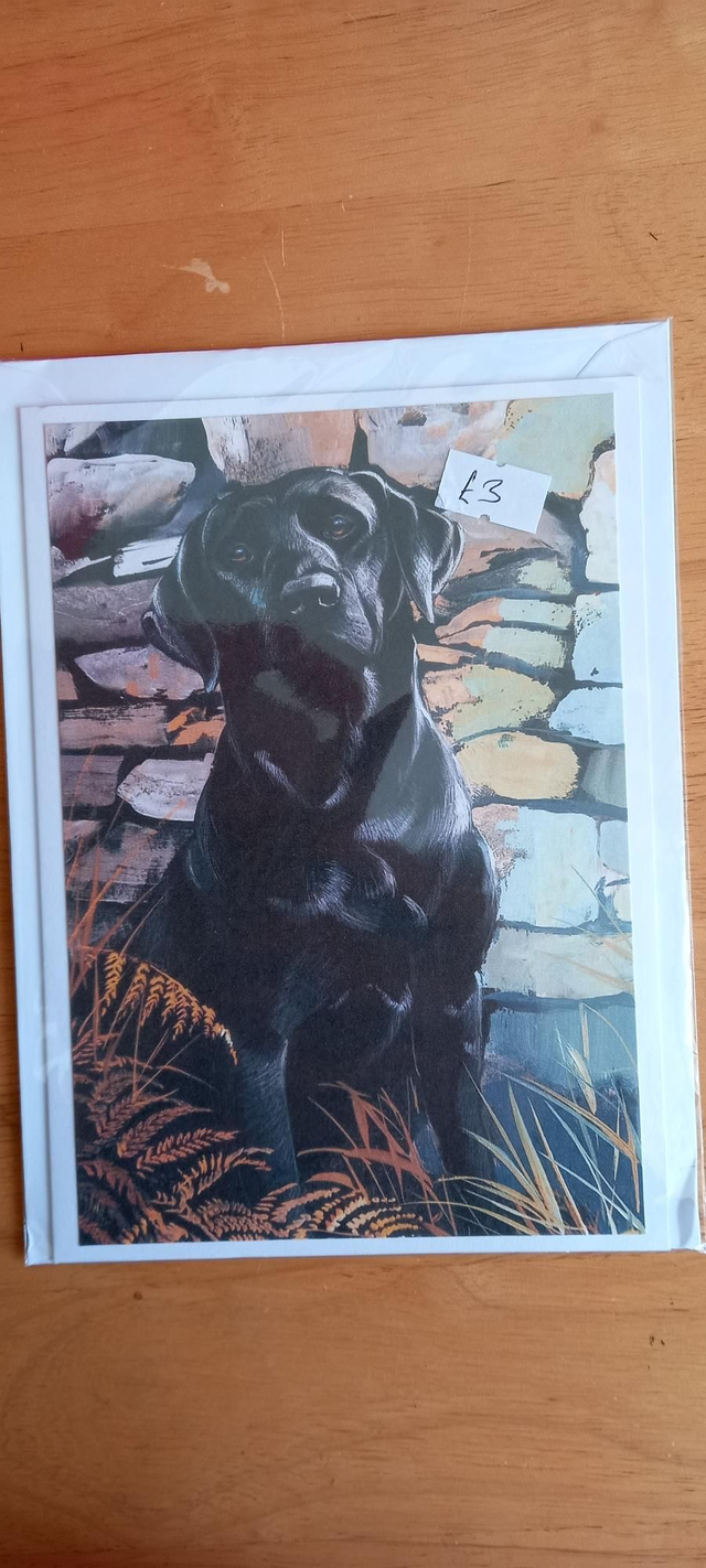 Black lab card 