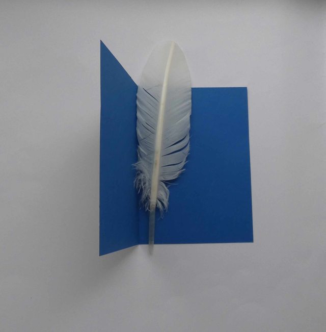 Une bonne année en musique avec ce pingouin