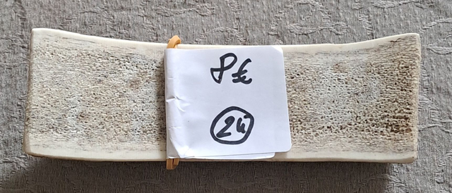 N°24 Bois de Cerf Tranché 