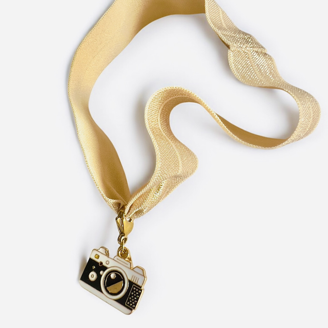DOG CHARM CLIC CLAC