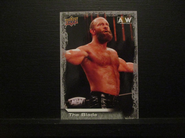 The Blade - All Elite AEW Original Upper Deck Trading Card #19