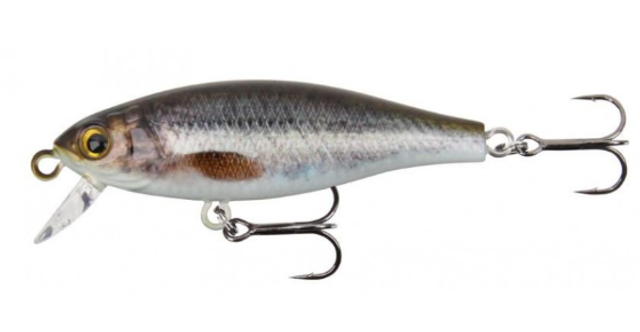 SHORTY 50S Color MINNOW